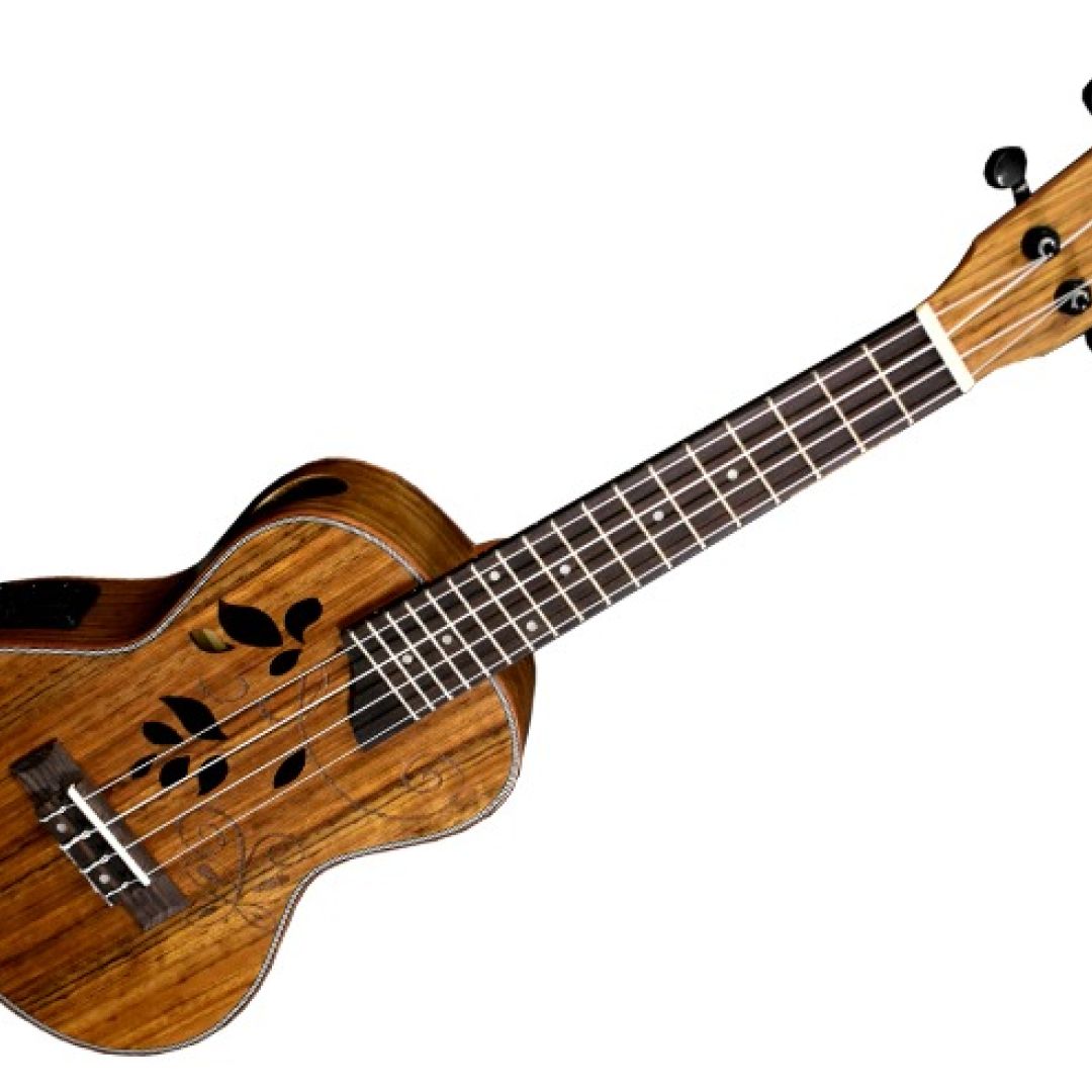 ashland-uk-246-ukelele-con-ecualizador-6280